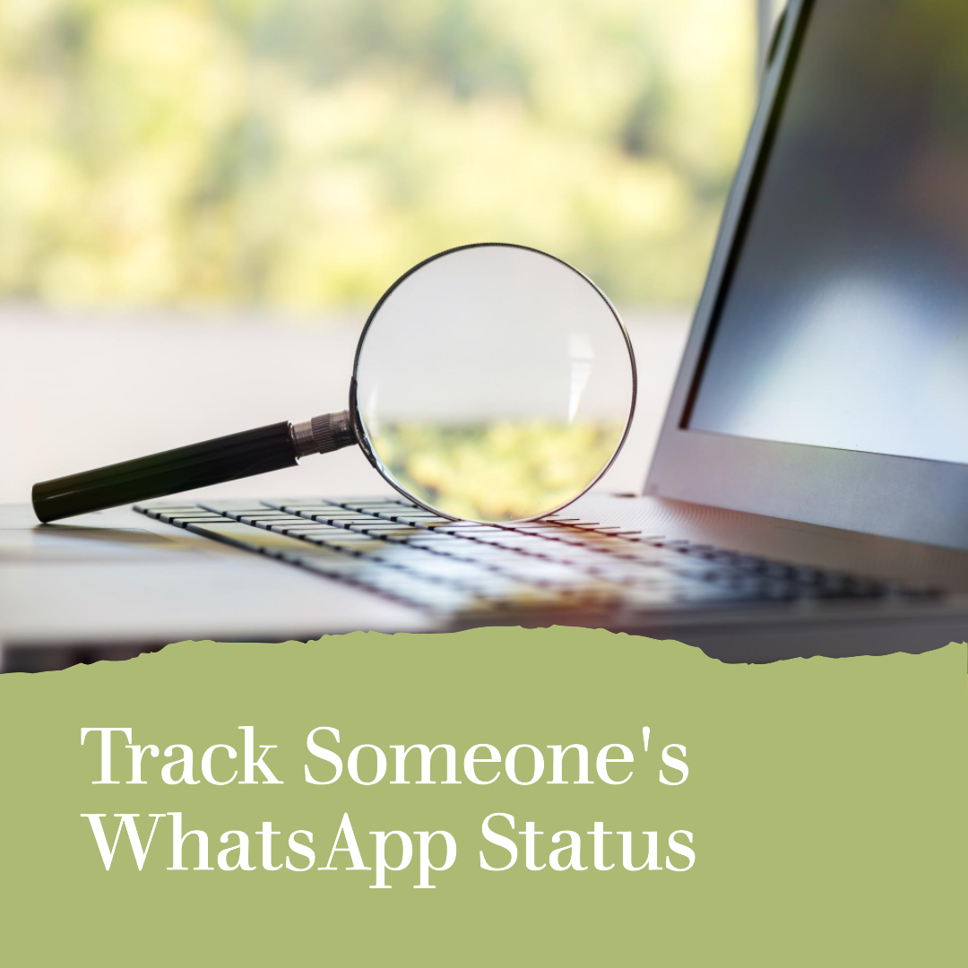 magnifier-Track-Someone's-WhatsApp-Status